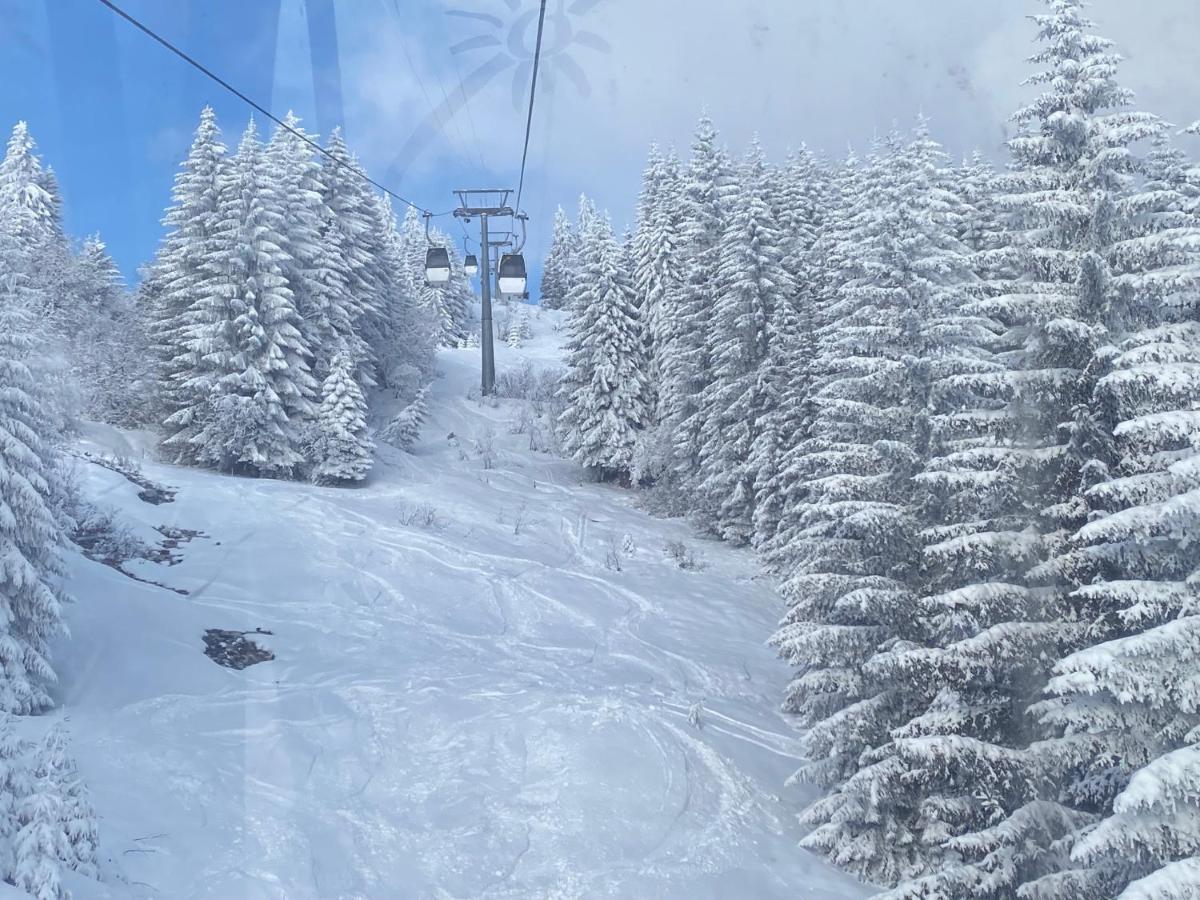 Charming In * Laax
